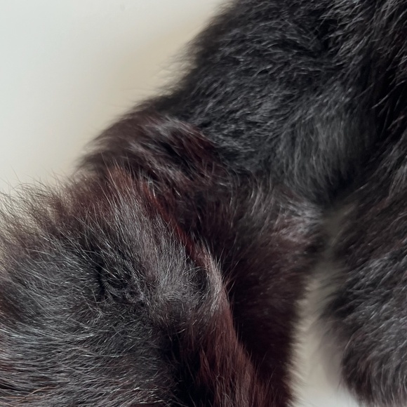 Vintage Dark Brown Fox Fur Collar - Picture 6 of 16